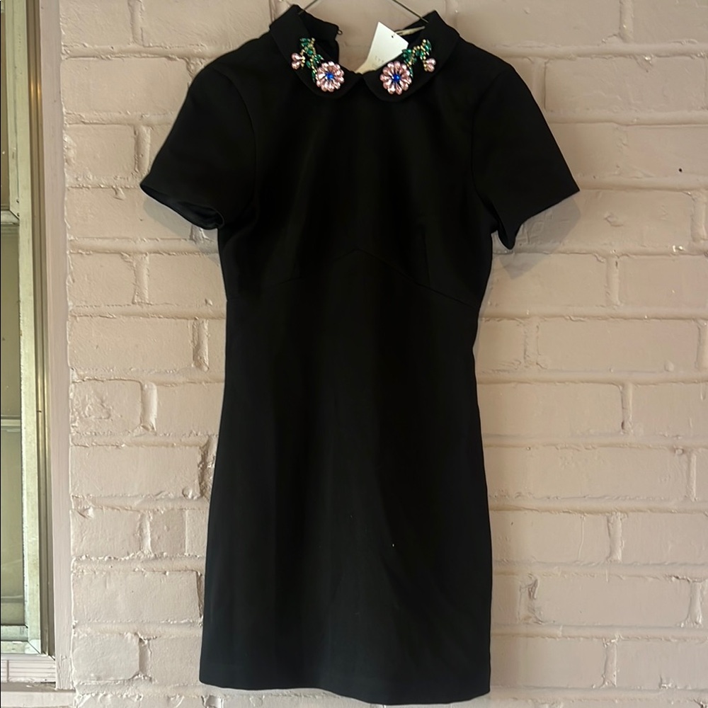 Black Sheath Mini Dress with Mock Neck and Raglan Sleeves